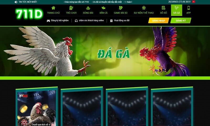 Đá gà tại 711D cực kỳ hot hit