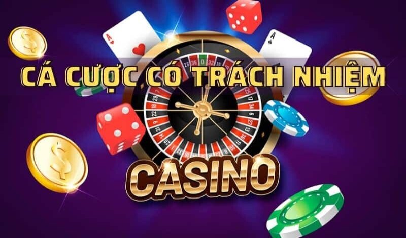 Trách nhiệm từ nhà cái 711D