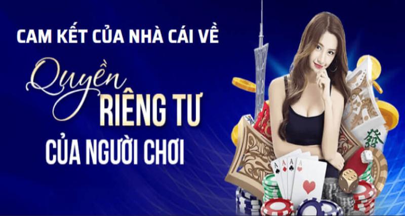 Một số quyền của 711D